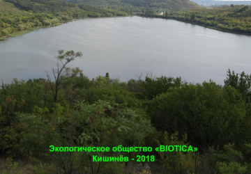 Редкие виды сосудистых растений  ключевой территории международного  значения «ЯГОРЛЫК» Национальной  экологической сети Республики Молдова